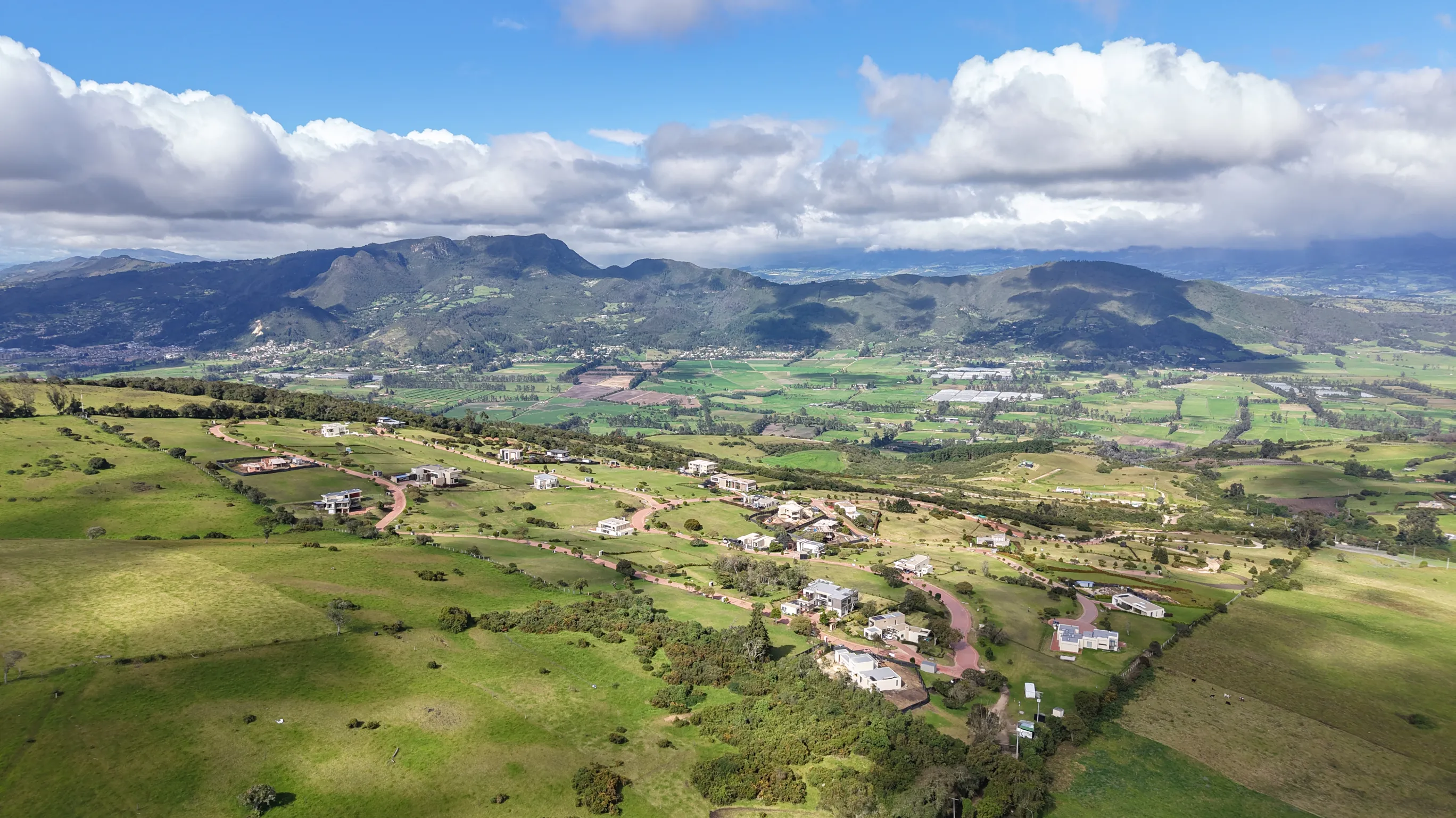 Montevioleta